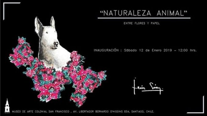 naturaleza animal