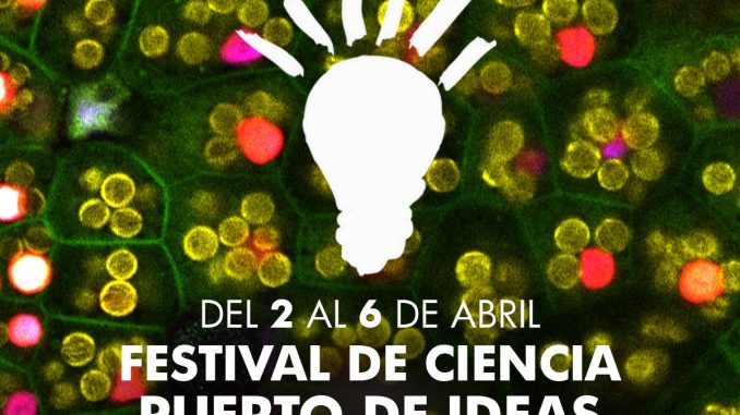 Imagen corporativa Puerto de Ideas Antofagasta 2020